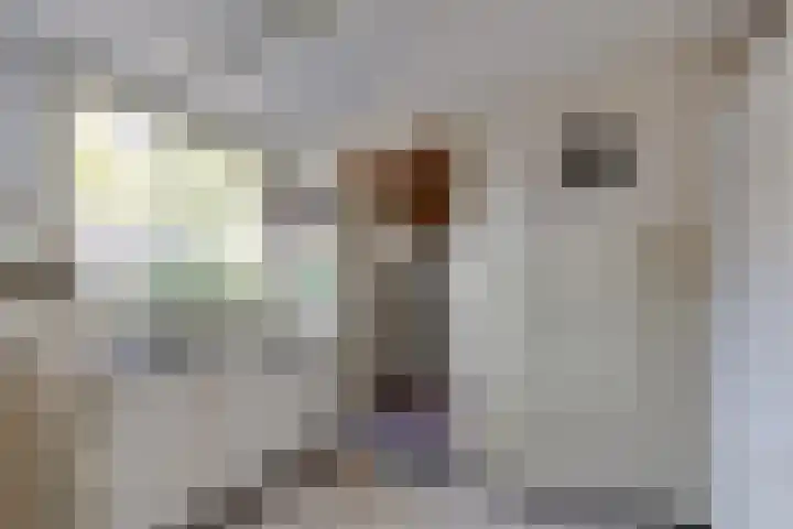 Aaltenseweg 83 Lichtenvoorde thumbnail 21