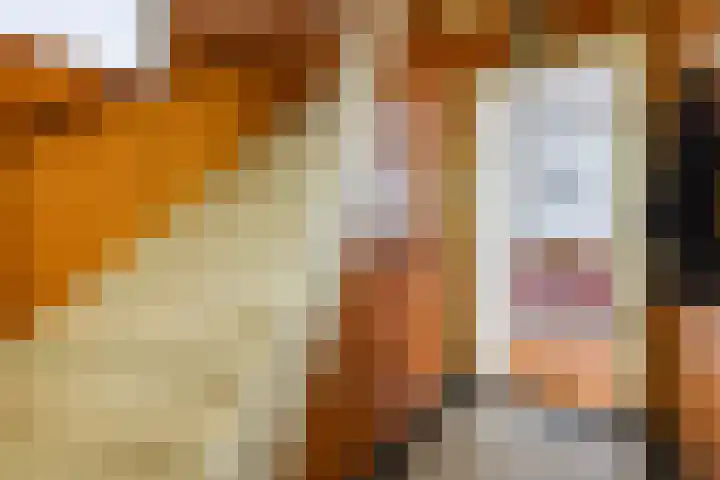 Aaltenseweg 83 Lichtenvoorde thumbnail 33