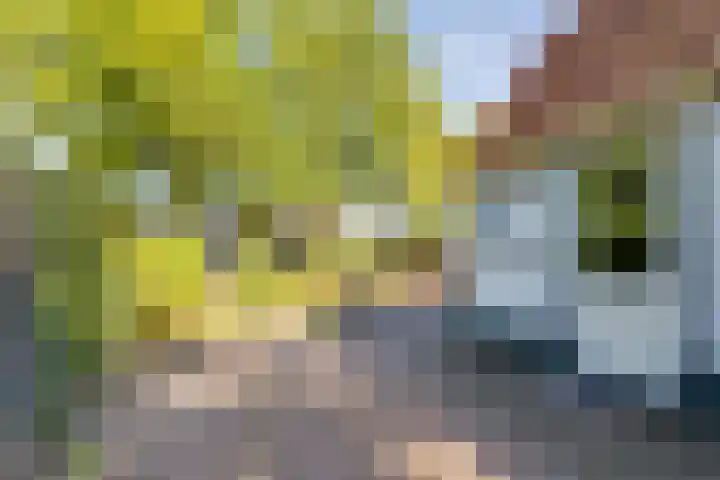 Aaltenseweg 83 Lichtenvoorde thumbnail 43