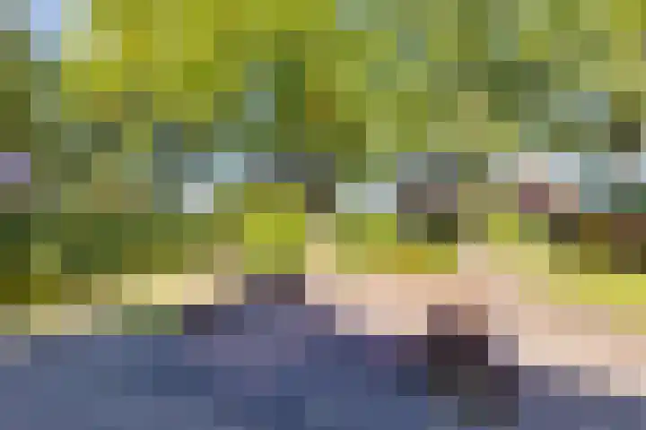 Aaltenseweg 83 Lichtenvoorde thumbnail 46