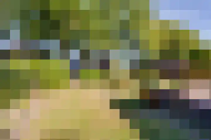 Aaltenseweg 83 Lichtenvoorde thumbnail 47
