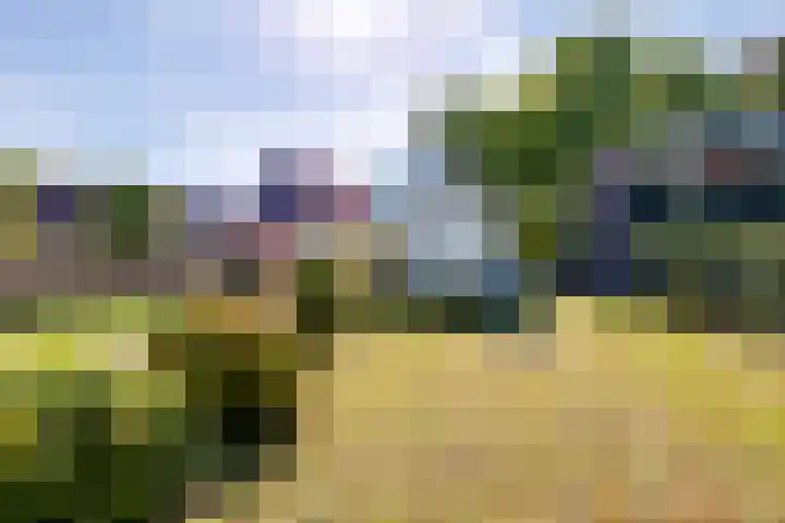 Aaltenseweg 83 Lichtenvoorde thumbnail 49