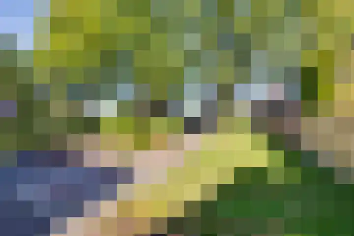 Aaltenseweg 83 Lichtenvoorde thumbnail 54