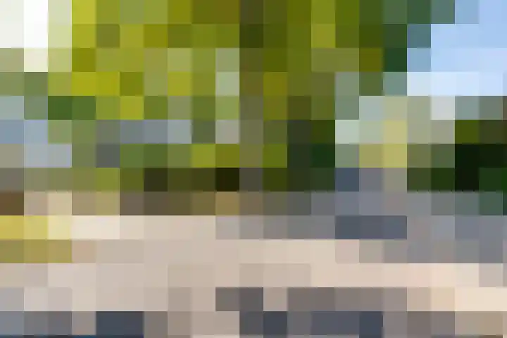 Aaltenseweg 83 Lichtenvoorde thumbnail 58