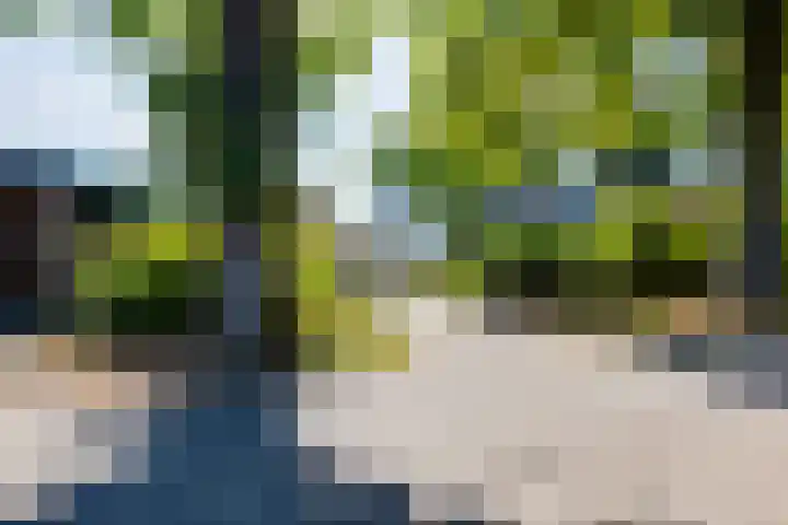 Aaltenseweg 83 Lichtenvoorde thumbnail 59