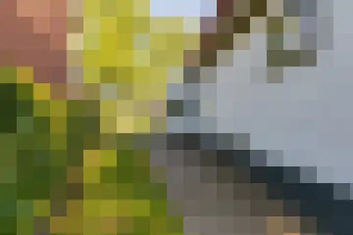 Aaltenseweg 83 Lichtenvoorde thumbnail 6