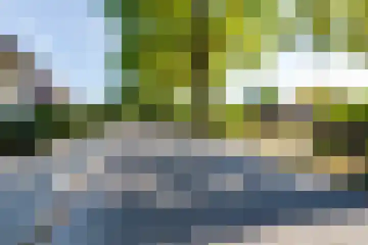 Aaltenseweg 83 Lichtenvoorde thumbnail 61