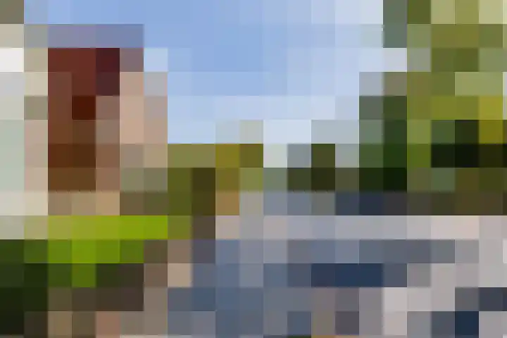 Aaltenseweg 83 Lichtenvoorde thumbnail 62