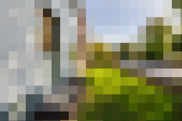 Aaltenseweg 83 Lichtenvoorde thumbnail 7