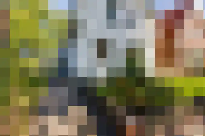 Aaltenseweg 83 Lichtenvoorde thumbnail 8