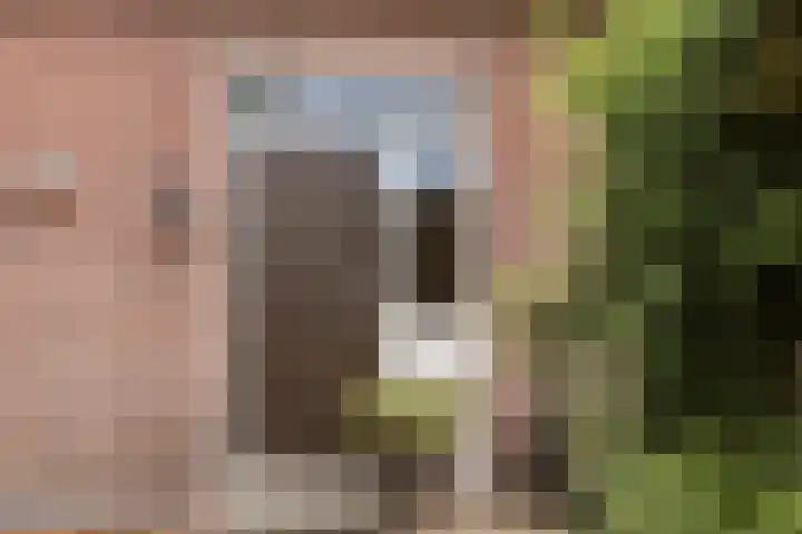 Aaltenseweg 87 Dinxperlo thumbnail 10