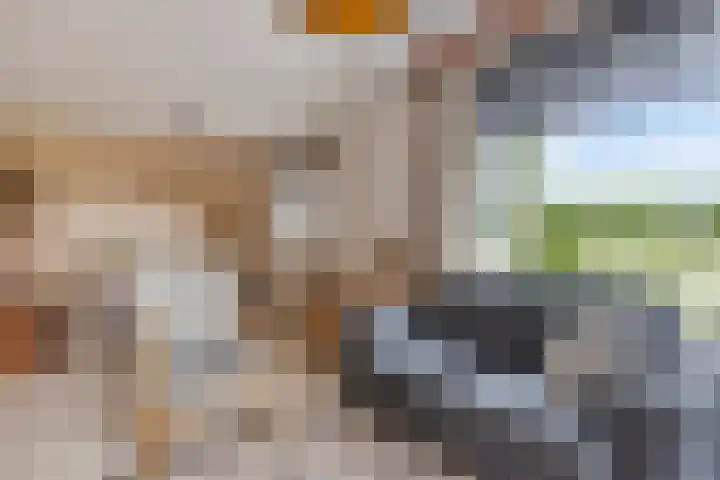 Aaltenseweg 87 Dinxperlo thumbnail 13