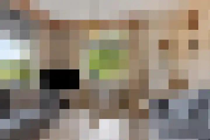Aaltenseweg 87 Dinxperlo thumbnail 14
