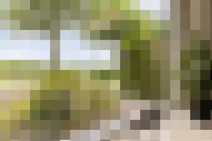 Aaltenseweg 87 Dinxperlo thumbnail 17