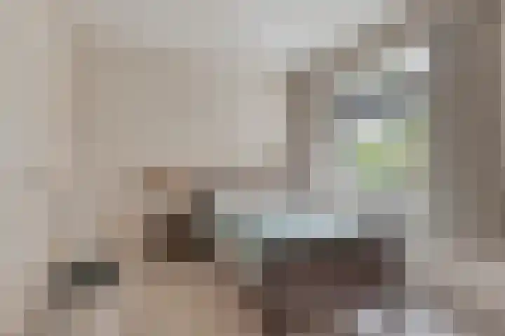 Aaltenseweg 87 Dinxperlo thumbnail 21