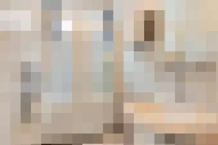 Aaltenseweg 87 Dinxperlo thumbnail 23