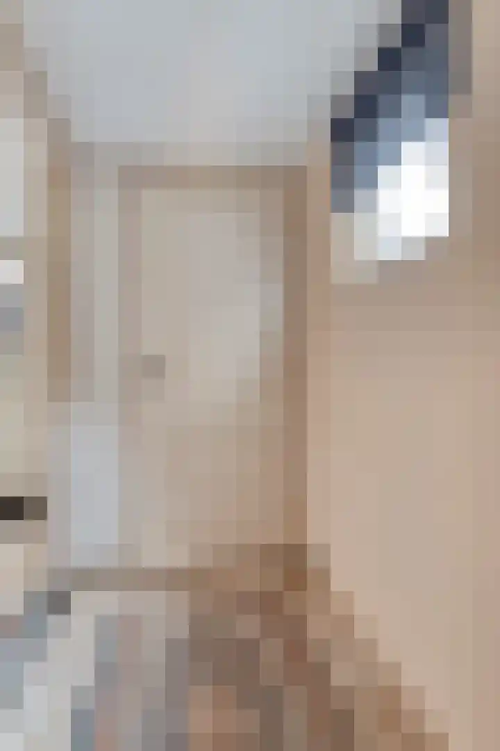 Aaltenseweg 87 Dinxperlo thumbnail 25