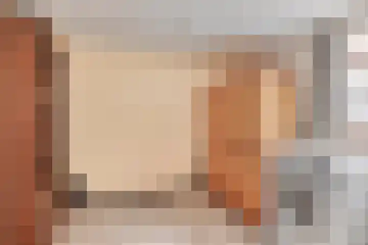 Aaltenseweg 87 Dinxperlo thumbnail 27