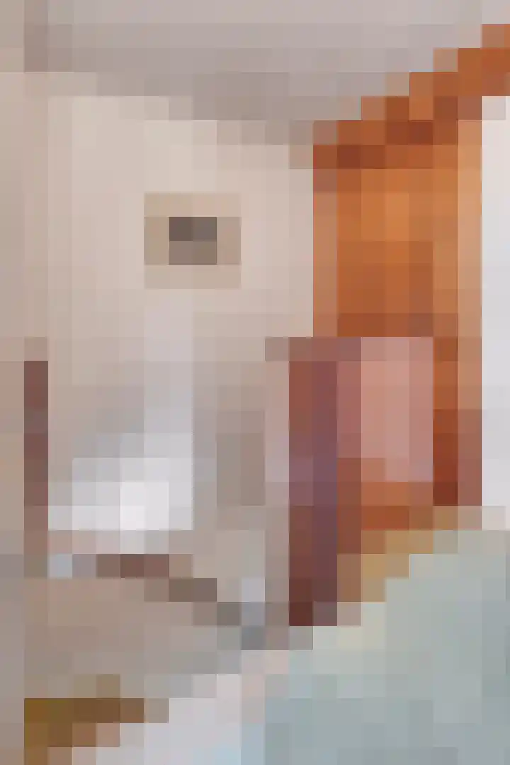 Aaltenseweg 87 Dinxperlo thumbnail 29