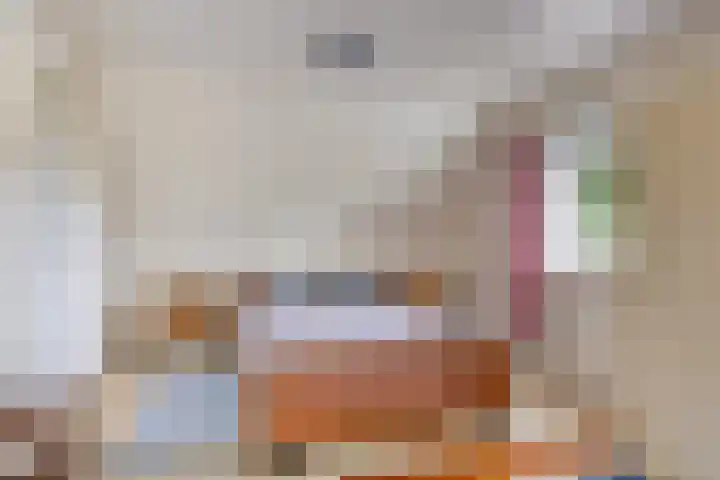 Aaltenseweg 87 Dinxperlo thumbnail 31