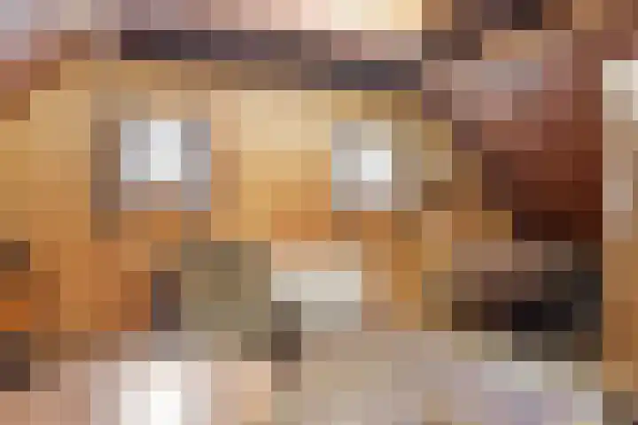 Aaltenseweg 87 Dinxperlo thumbnail 34