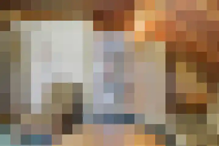 Aaltenseweg 87 Dinxperlo thumbnail 36