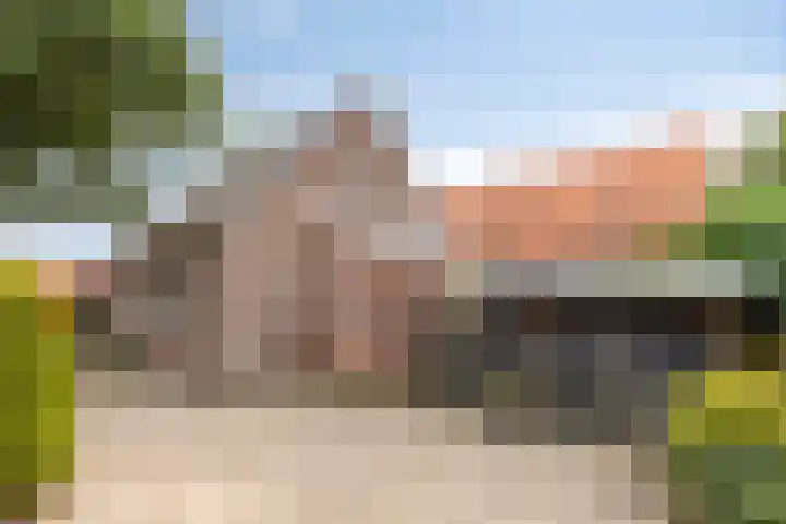 Aaltenseweg 87 Dinxperlo thumbnail 37