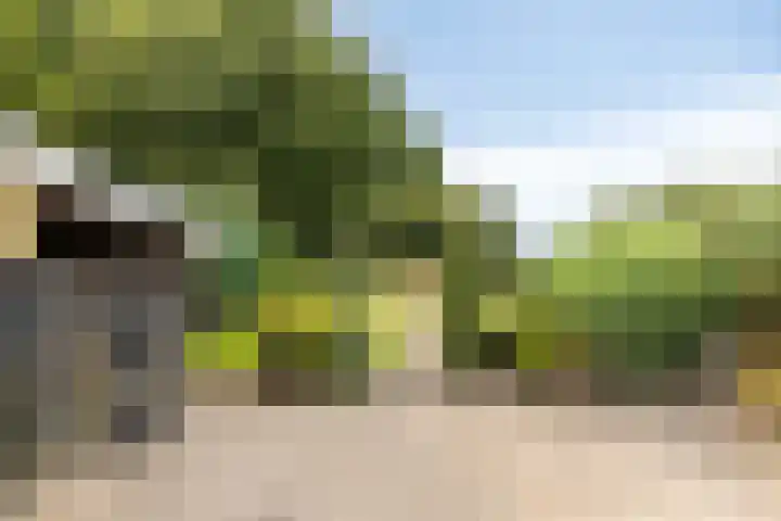 Aaltenseweg 87 Dinxperlo thumbnail 39