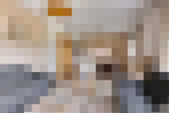 Aaltenseweg 87 Dinxperlo thumbnail 4