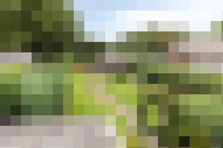 Aaltenseweg 87 Dinxperlo thumbnail 40
