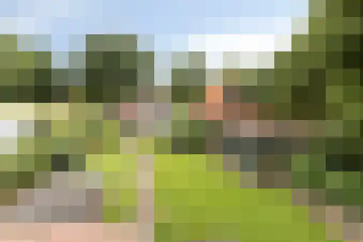Aaltenseweg 87 Dinxperlo thumbnail 41