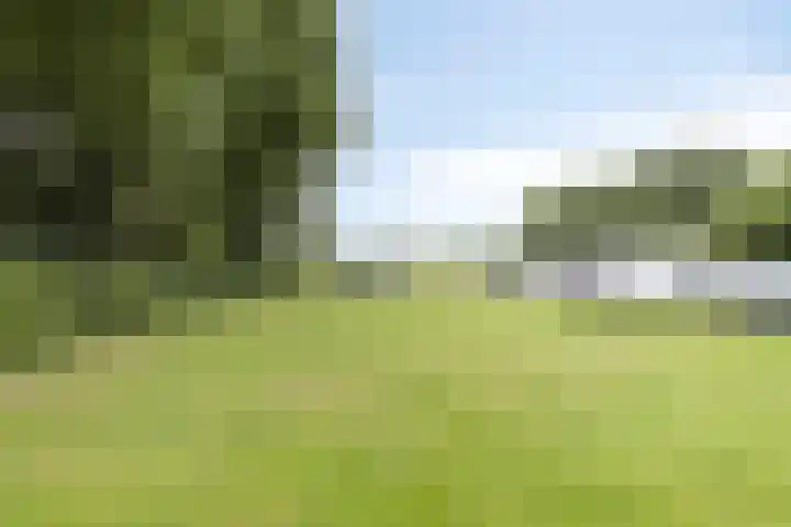 Aaltenseweg 87 Dinxperlo thumbnail 42
