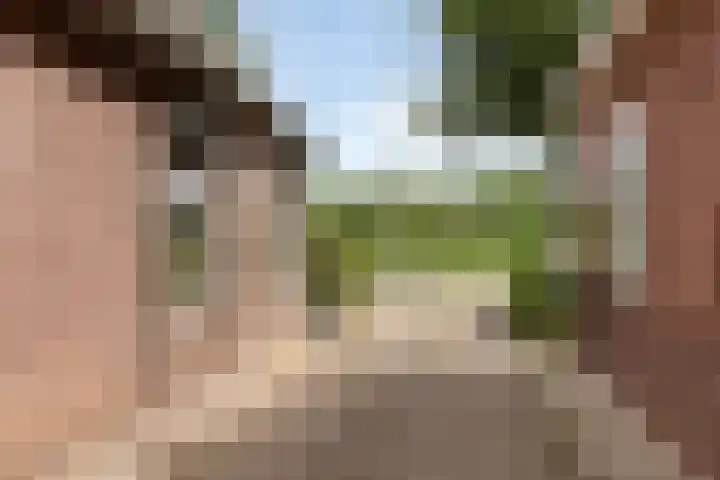 Aaltenseweg 87 Dinxperlo thumbnail 43