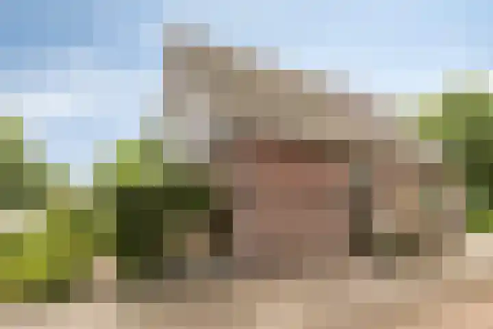 Aaltenseweg 87 Dinxperlo thumbnail 9