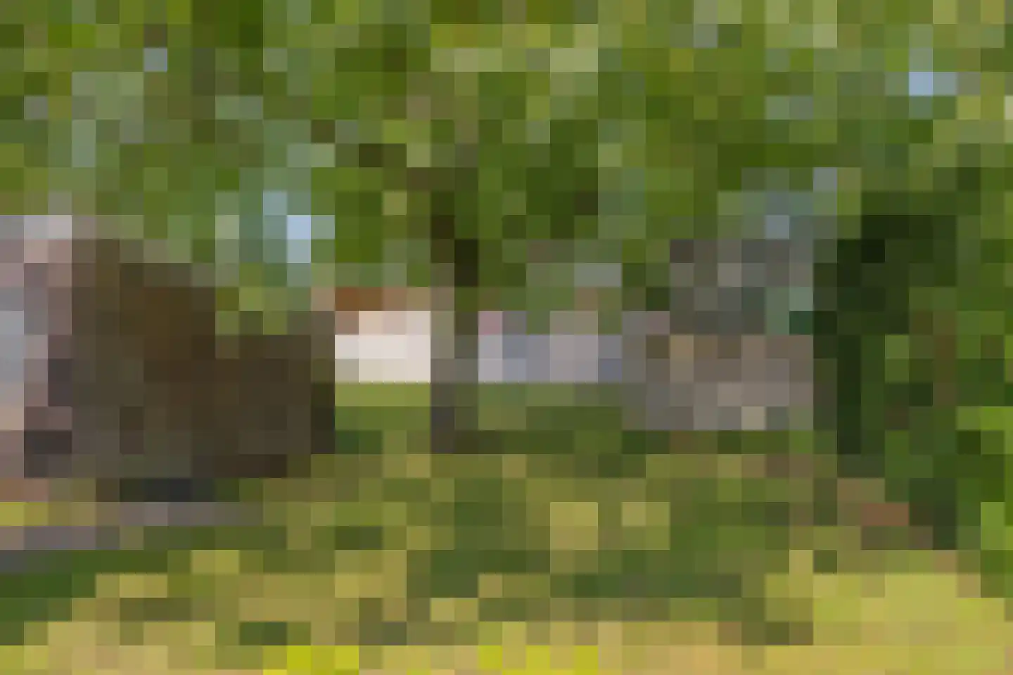 Aaltenseweg 89 Lichtenvoorde thumbnail 25