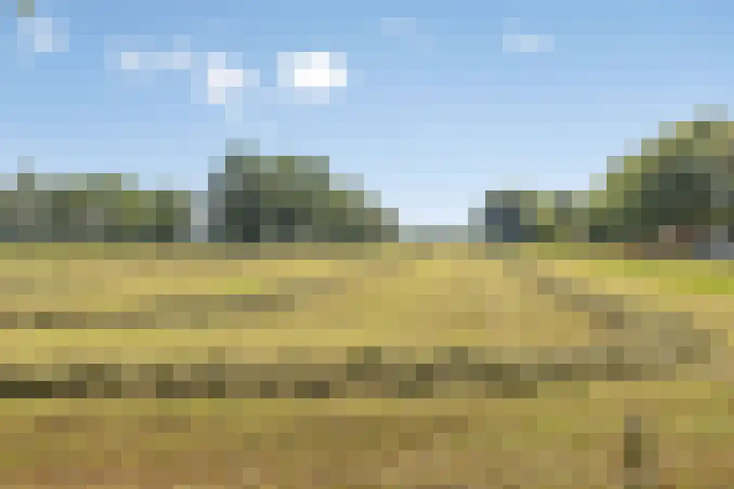 Aaltenseweg 89 Lichtenvoorde thumbnail 33