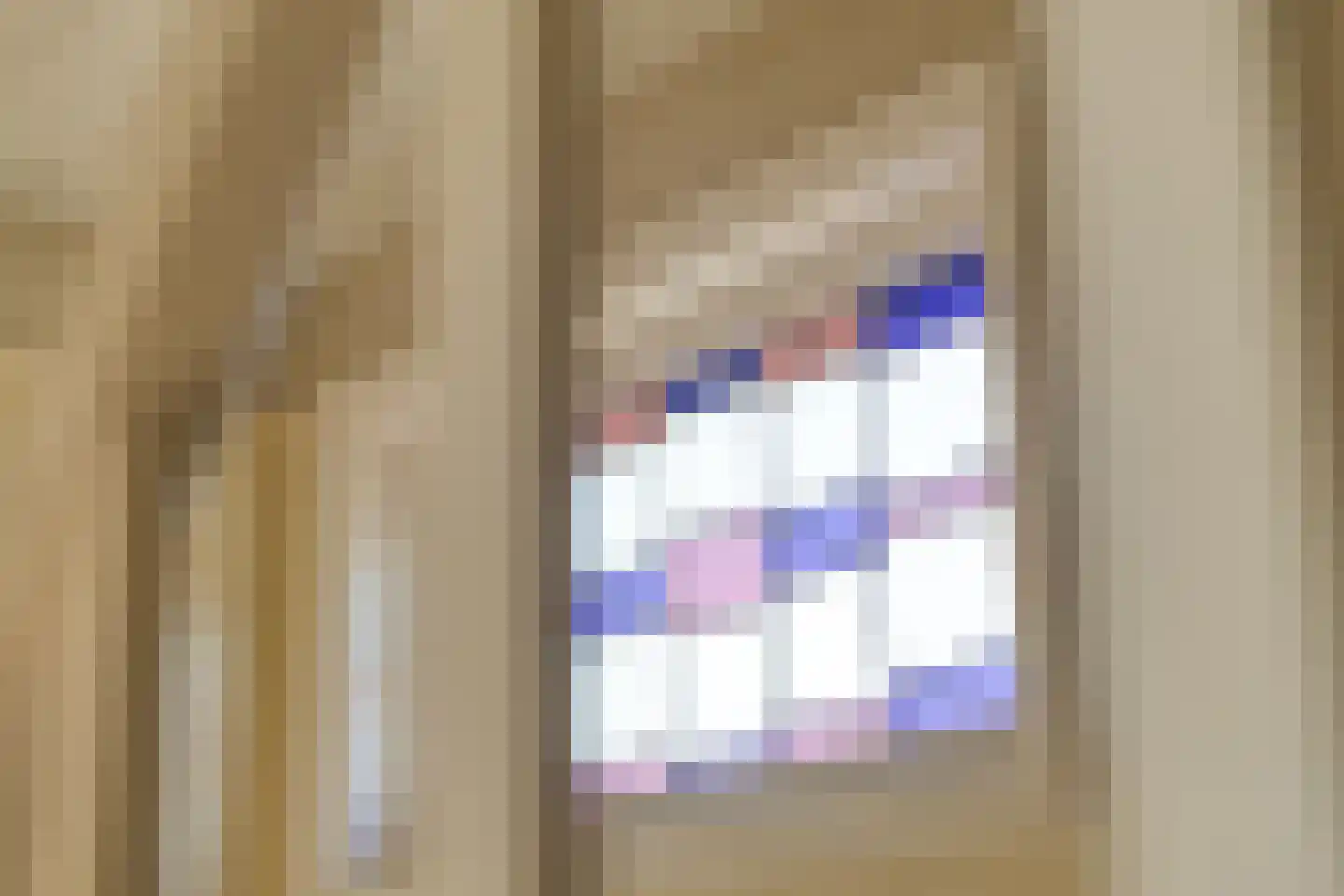 Aaltenseweg 89 Lichtenvoorde thumbnail 6