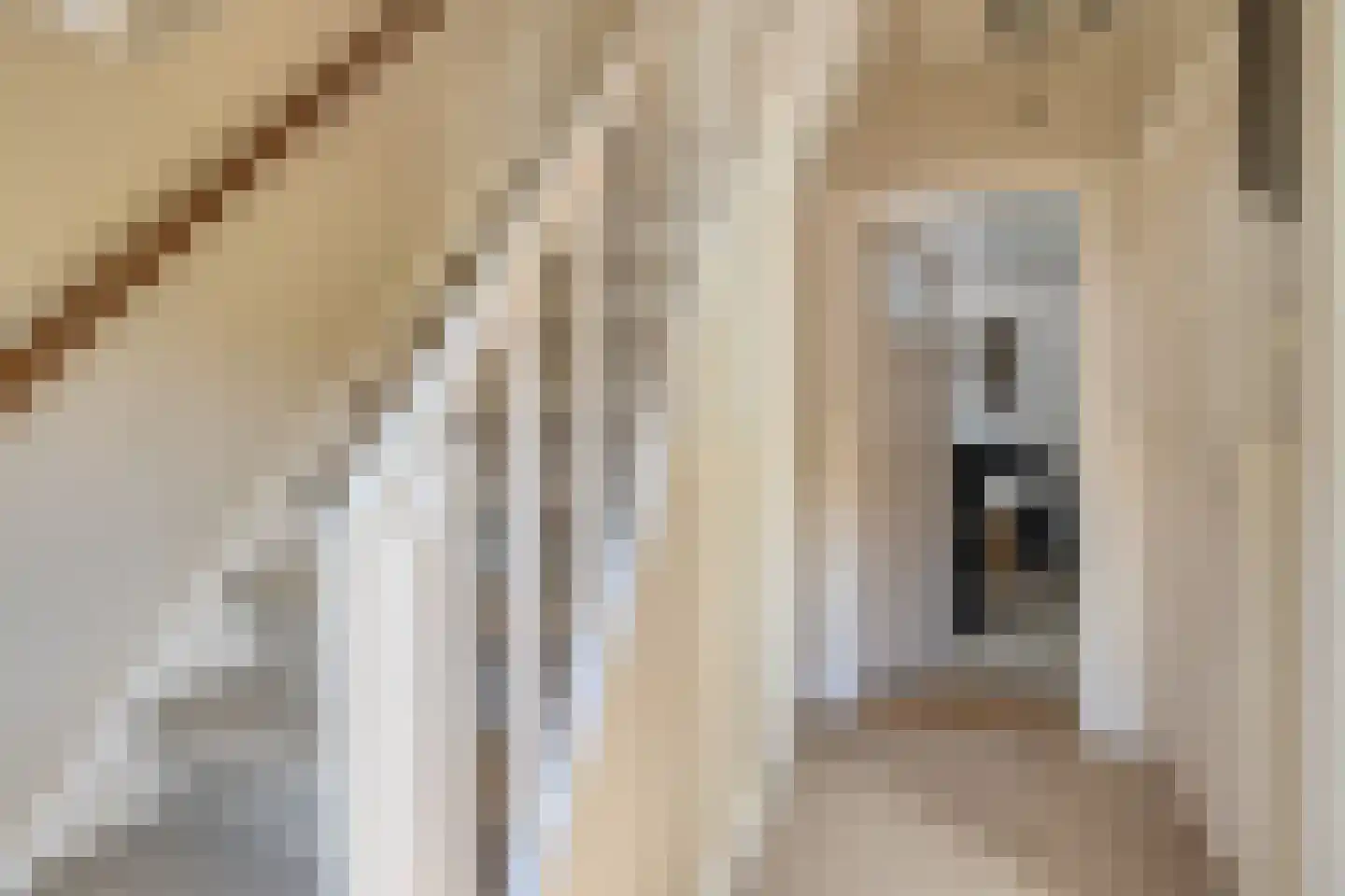 Aaltenseweg 89 Lichtenvoorde thumbnail 7