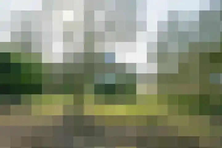 Aaltenseweg 9 Sinderen thumbnail 6