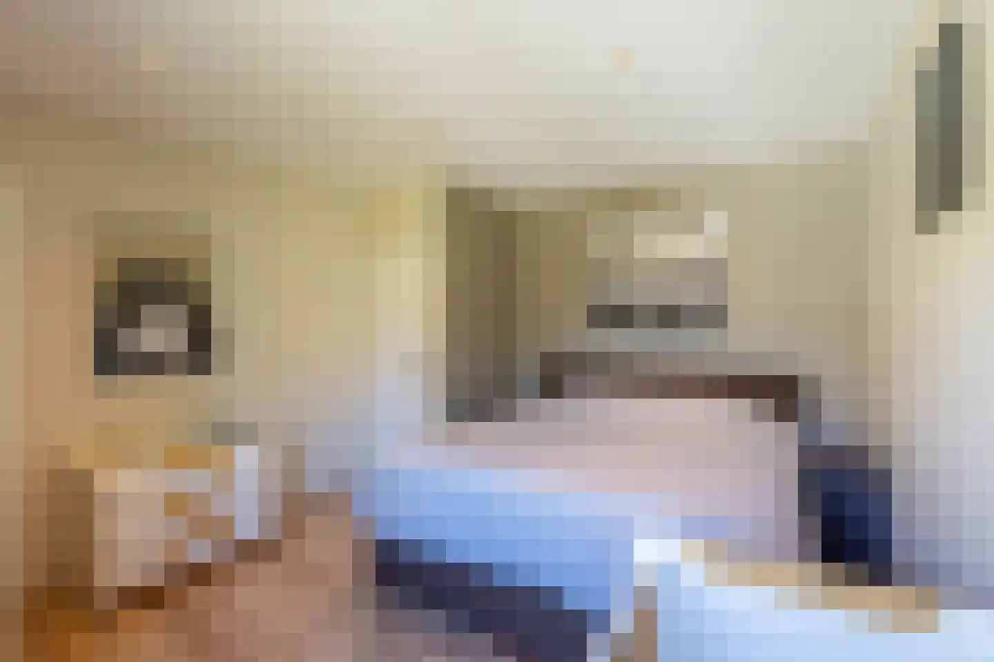 Aaltinksweg 4 Holten thumbnail 24