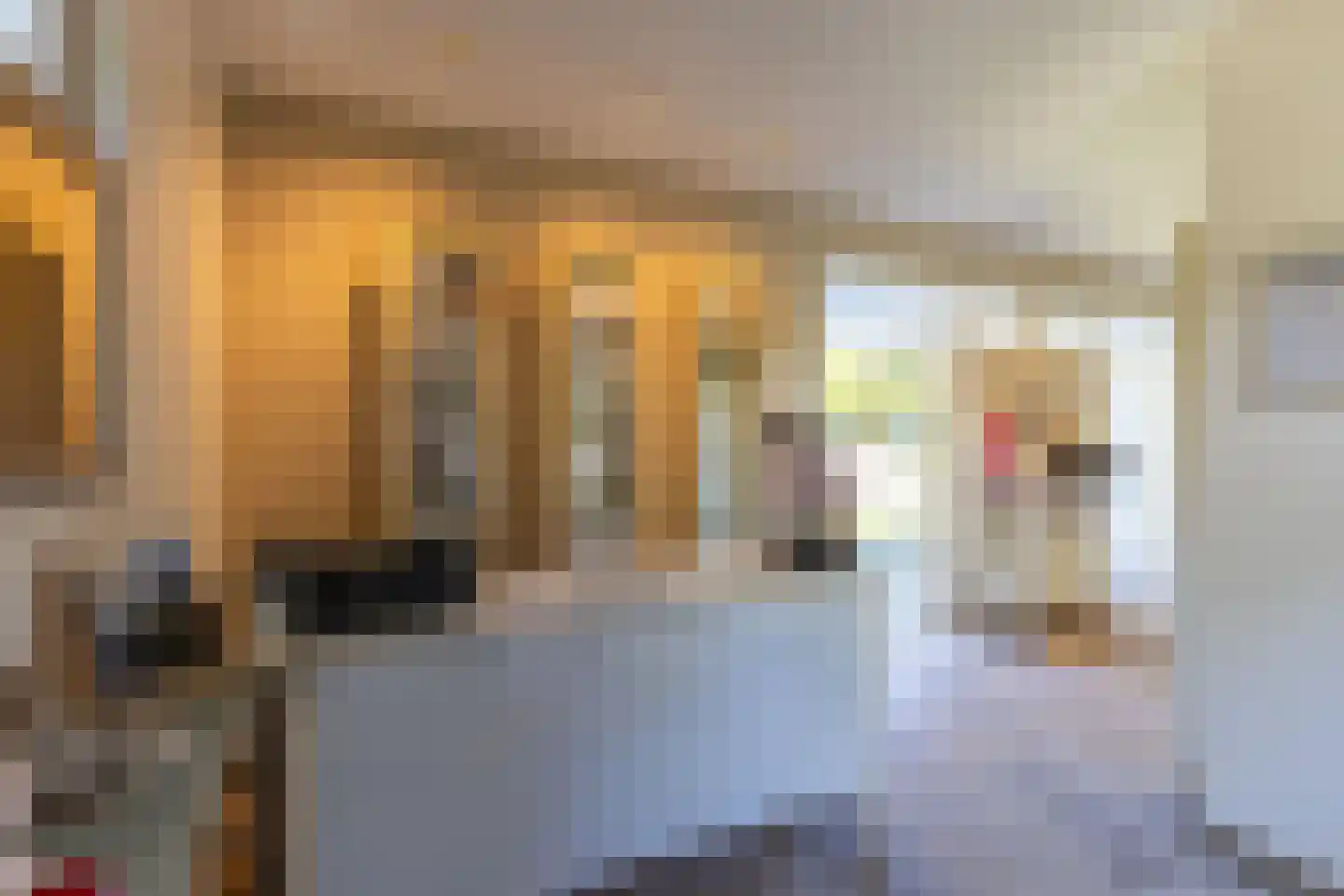 Aaltinksweg 4 Holten thumbnail 27
