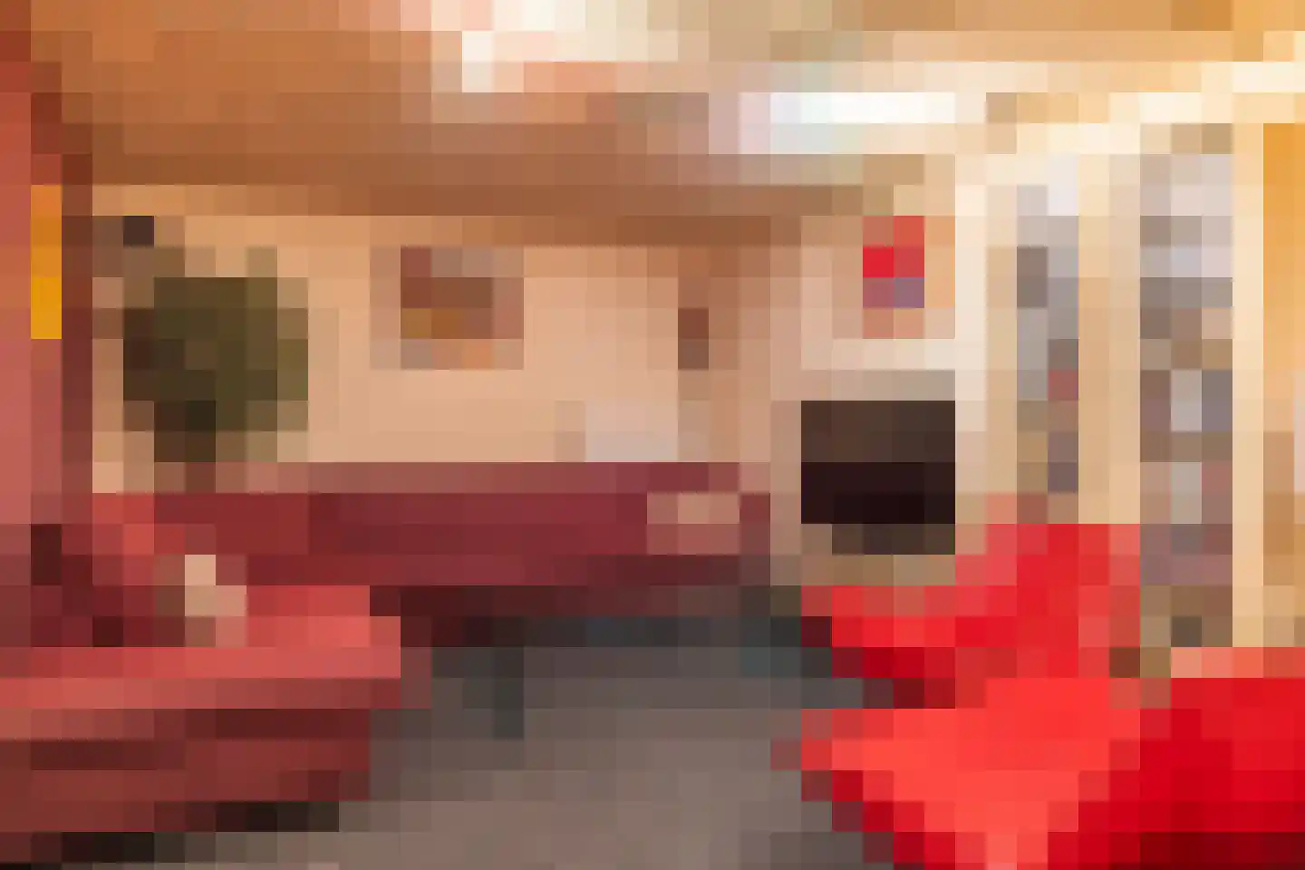 Aaltinksweg 4 Holten thumbnail 32