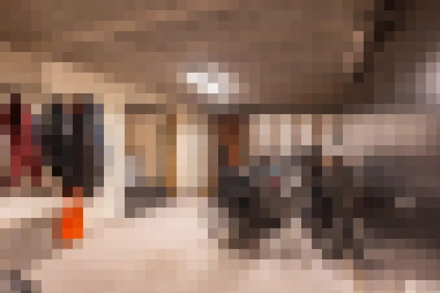 Aaltinksweg 4 Holten thumbnail 34