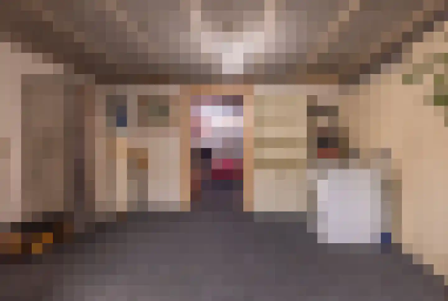 Aaltinksweg 4 Holten thumbnail 35