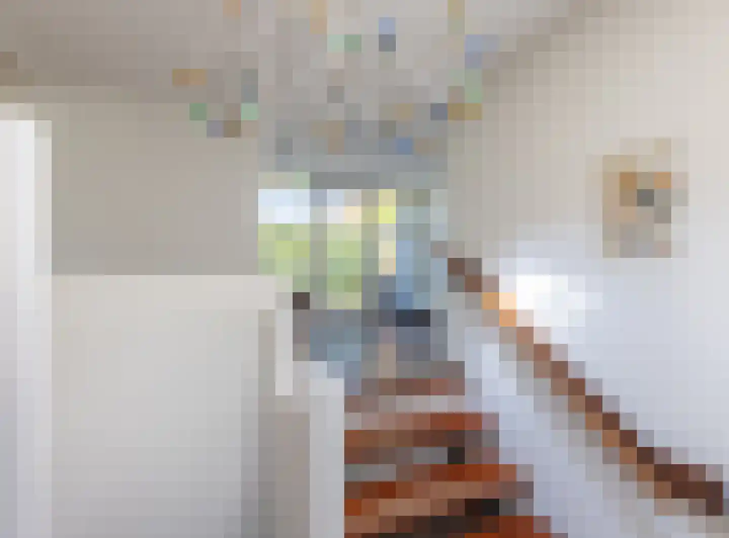 Aaltinksweg 4 Holten thumbnail 4
