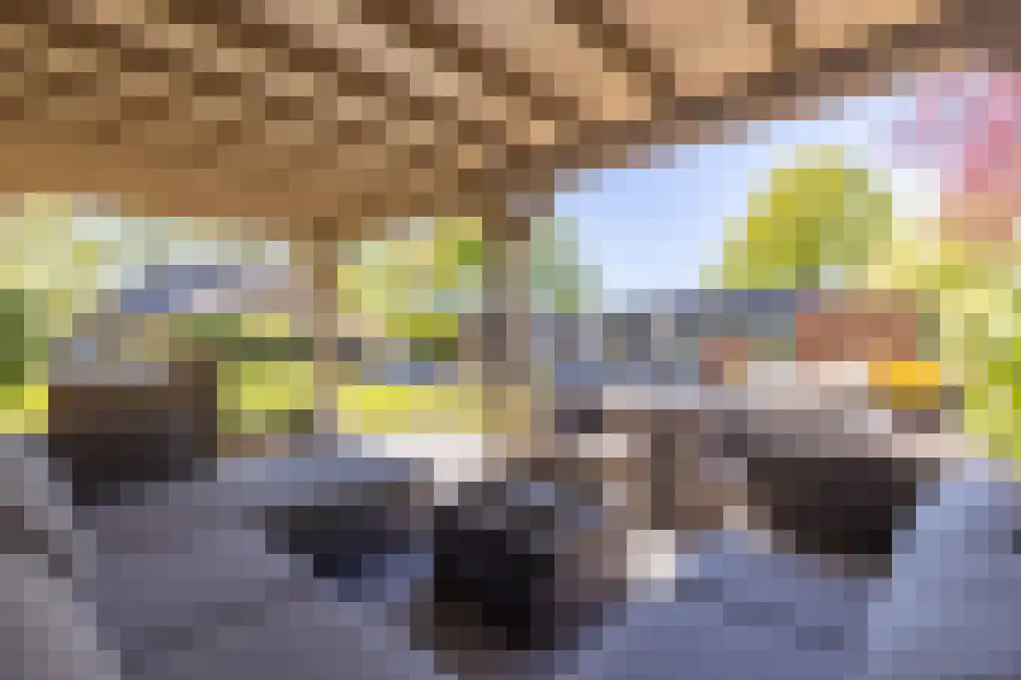Aaltinksweg 4 Holten thumbnail 43