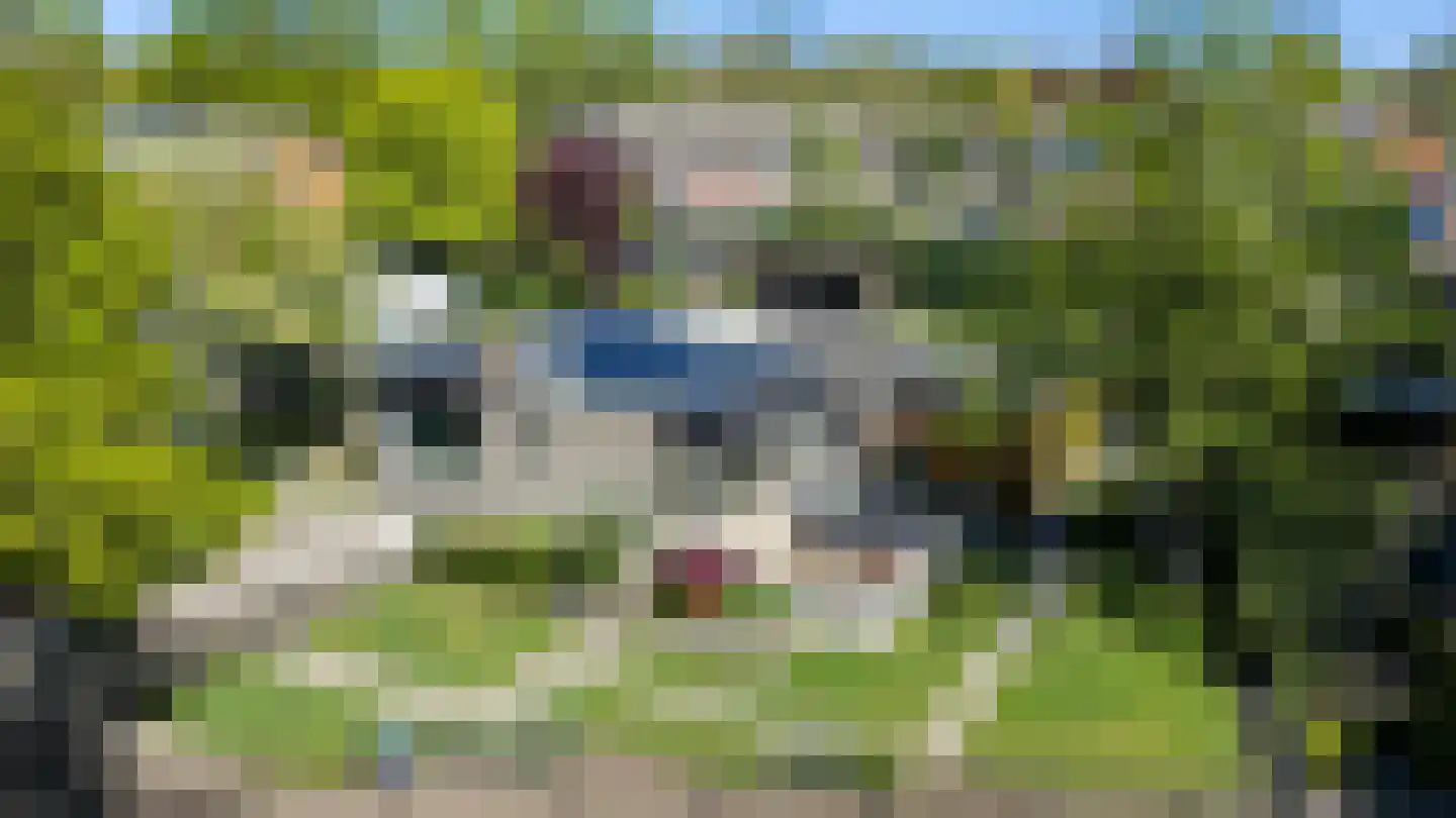 Aaltinksweg 4 Holten thumbnail 52
