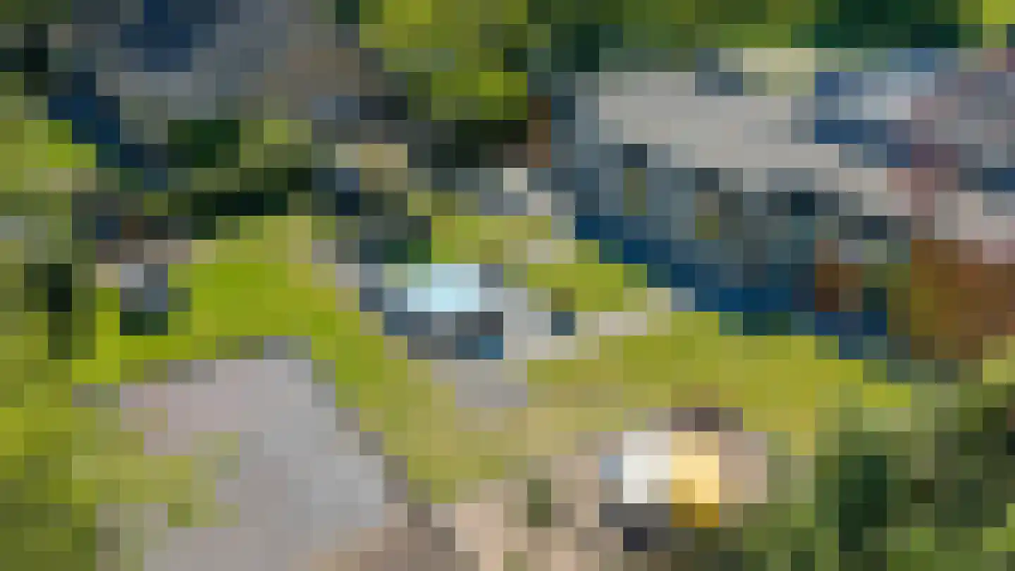 Aaltinksweg 4 Holten thumbnail 53