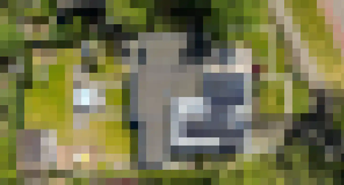Aaltinksweg 4 Holten thumbnail 54