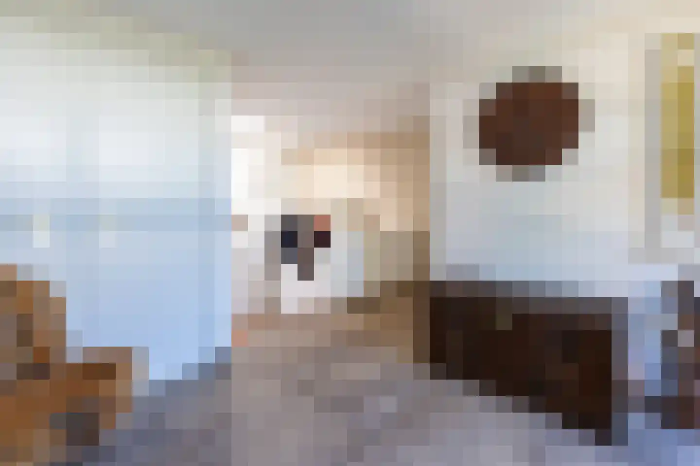 Aaltinksweg 4 Holten thumbnail 6